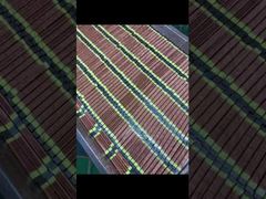 OEM 高強度 UV 硬化ランプ 20000 時間寿命 インクジェットプリンター用​